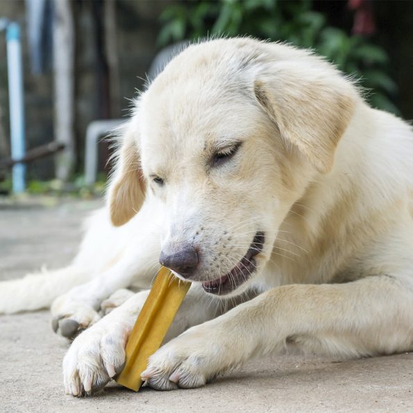 Churpi Barrita del Himalaya para perros: leche de Yak y Cebú, zumo de lima, sal y coco